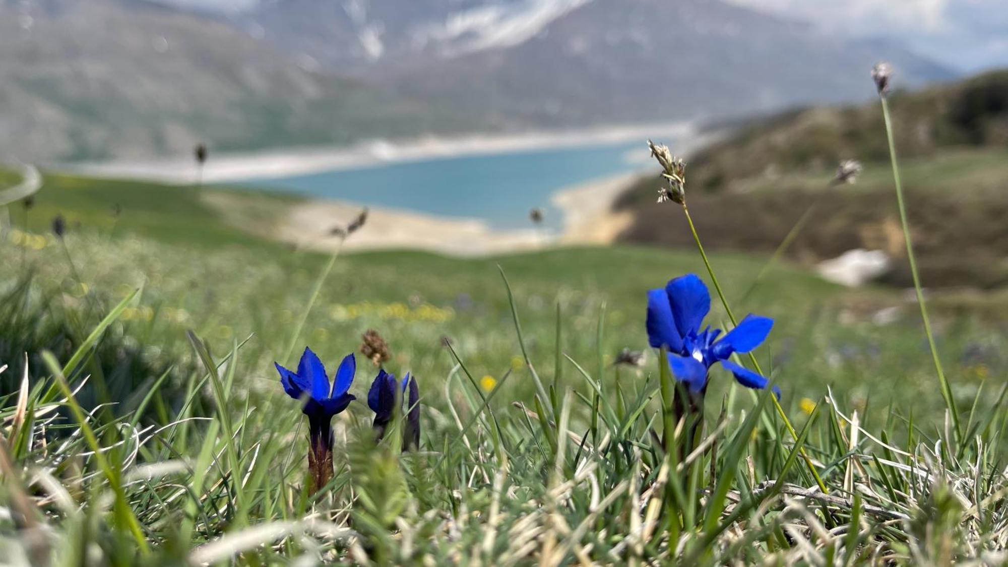 Aux Portes Du Parc National De La Vanoise Appartement Termignon Val Cenis Avec Wifi Exteriér fotografie